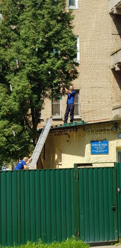 Спасатели ГКУ МО «Мособлпожспас» сняли застрявшую на дереве кошку