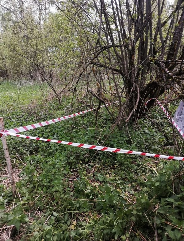 В Можайском округе работники ГКУ МО «Мособлпожспас» обезвредили минометную мину времен ВОВ
